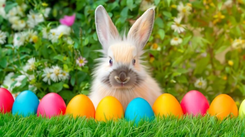 Egy aranyos nyuszi áll színes tojások előtt, virágos háttérrel.
