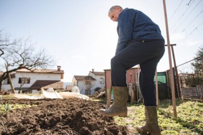 Egy férfi ásóval dolgozik a kertben, a napfényben, a talajforgatás érdekében.