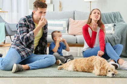 Egy család ül a nappaliban, az apuka és az anyuka allergiás tüneteket mutatnak, míg a kisfiú és a kutya mellettük pihennek.