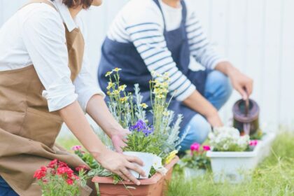 Hobbi a pénztárcád barátjaként – Filléres ötletek otthonra 2 Két ember virágokat ültet a kertben, kreatív hobbiként élvezve a természet közelségét.