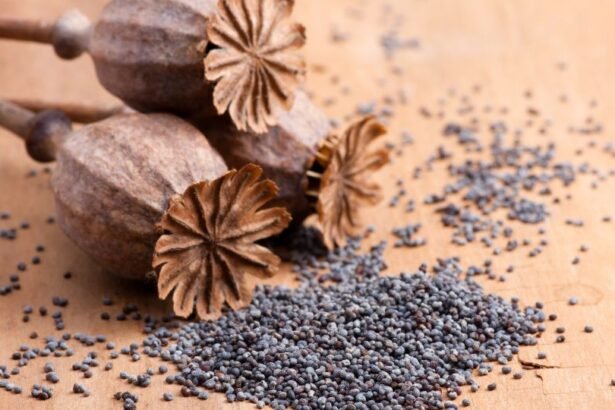 Szárított mákfejek és fekete mákszemek egy fából készült felületen.