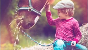 womensway 134 Egy kisfiú simogat egy lovat, miközben szénát néz a háttérben.