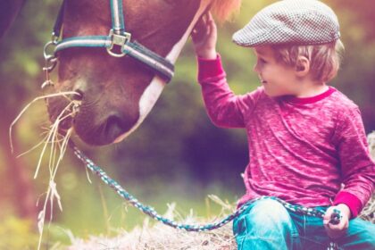 Egy kisfiú simogat egy lovat, miközben szénát néz a háttérben.