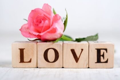Egy rózsaszín rózsa mellett fa blokkokból kirakott 'LOVE' felirat, amely a szerelem szimbólumát jelképezi.