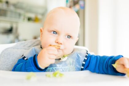 Egy kisbaba önállóan eszik, zöldséget és kenyeret tart a kezében, miközben figyelmesen néz.