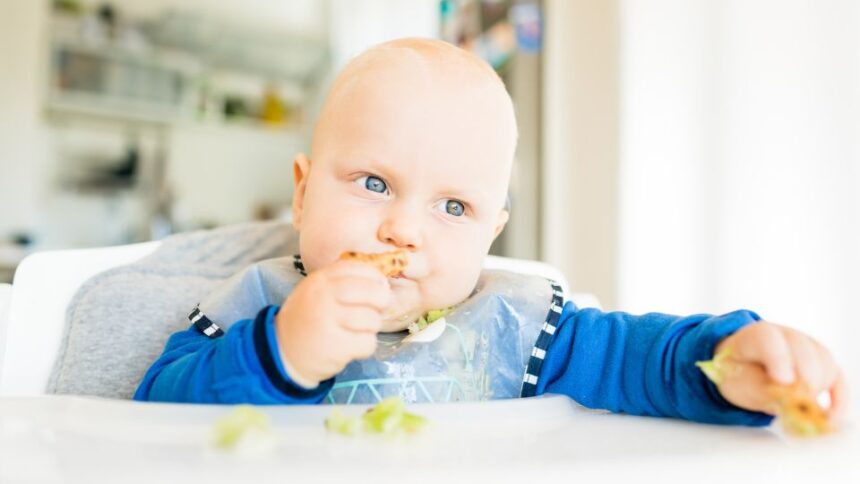 Egy kisbaba önállóan eszik, zöldséget és kenyeret tart a kezében, miközben figyelmesen néz.