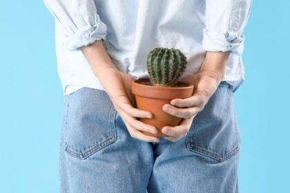 Egy fiatal férfi hátulról nézve egy cserép kaktust tart a kezében, ami humorosan utalhat a végbéltáji problémákra.