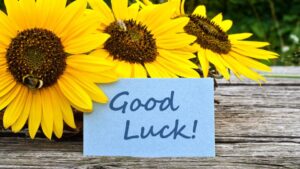 Napsárga napraforgók mellett egy kék lap, amelyen a 'Good Luck!' felirat olvasható.