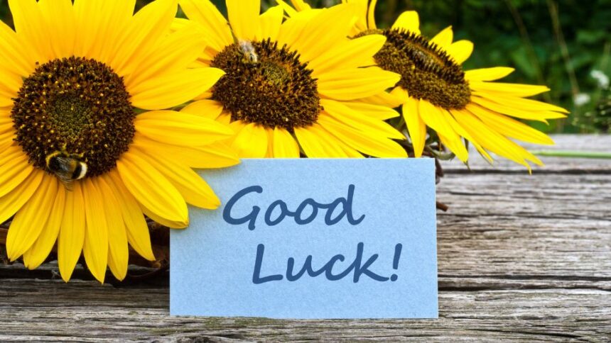 Napsárga napraforgók mellett egy kék lap, amelyen a 'Good Luck!' felirat olvasható.