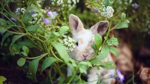 Egy aranyos nyúl bújik meg virágos növények között, zöld levelek és színes virágok között.