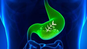 Zöld színű gyomor, amely a méregtelenítési folyamatot szimbolizálja.
