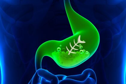 Zöld színű gyomor, amely a méregtelenítési folyamatot szimbolizálja.