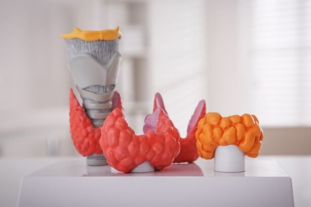 Pajzsmirigy modellek különböző színekben, a jód fontosságát szimbolizálva.