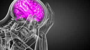 Az amigdala kiemelve a fejben, amely az érzelmek feldolgozásáért felelős.