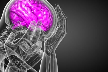 Az amigdala kiemelve a fejben, amely az érzelmek feldolgozásáért felelős.