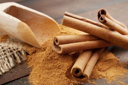 A fahéj nemcsak aromás fűszer, de bizonyítottan jótékonyan hat a vércukorszintre is. Cikkünkben három olyan meglepő egészségügyi előnyt mutatunk be, amelyek miatt érdemes lehet gyakrabban fogyasztani ezt az ízletes hozzávalót.