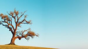 Száraz fa a kék ég alatt egy dombon