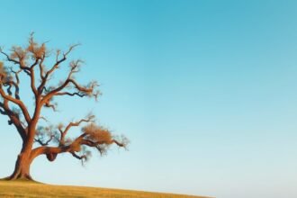 Száraz fa a kék ég alatt egy dombon