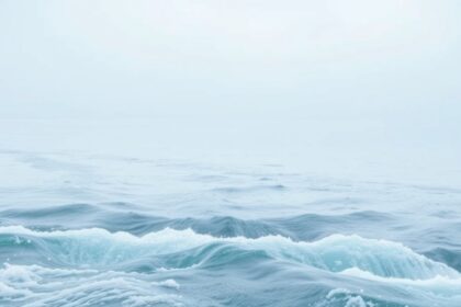 Nyugodt tenger hullámokkal és ködös háttérrel