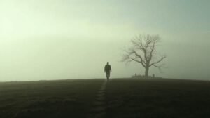 Egy magányos ember sétál egy ködös tájon, egy fa mellett.