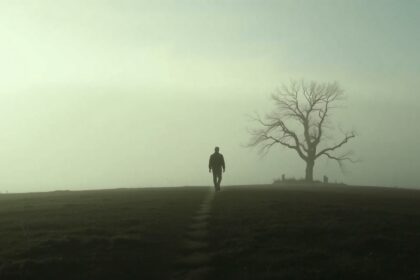 Egy magányos ember sétál egy ködös tájon, egy fa mellett.