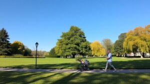 Baba sétáltatása babakocsival parkban egy férfi által.