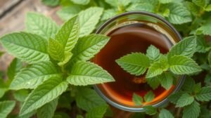 Friss csalánlevél és csalántea pohárban bőrápoláshoz és hajápoláshoz.